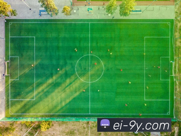 App Interface Preview
