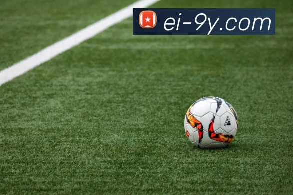 九游官网APP 封面图