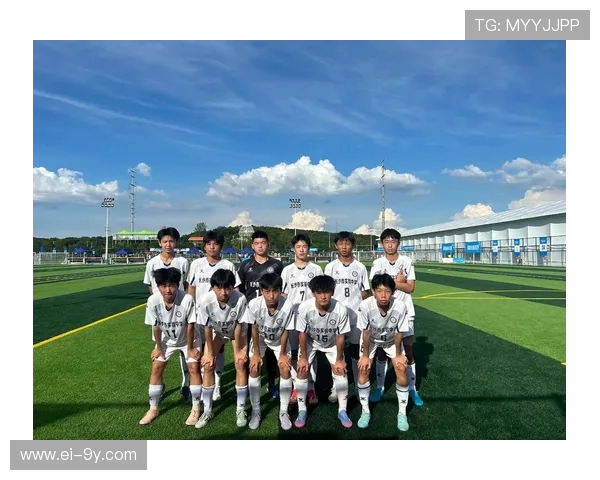 围绕各大品牌足球探索运动魅力与技术演进的多维体验全景盛宴之旅